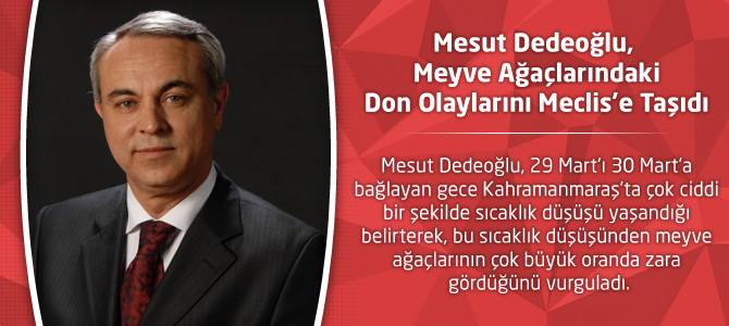 Mesut Dedeoğlu, Meyve Ağaçlarındaki Don Olaylarını Meclis’e Taşıdı