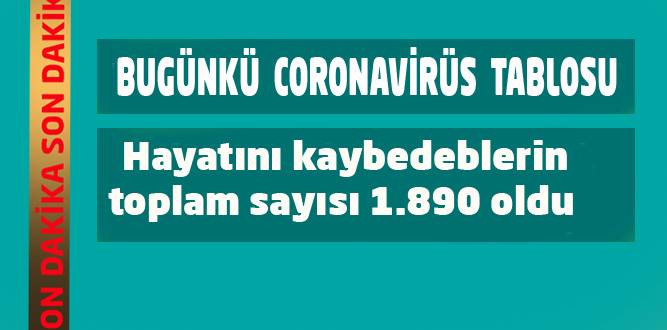 Türkiye’de Günlük Koronavirüs Tablosu