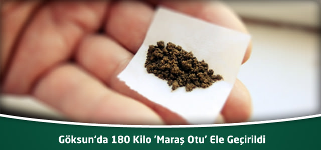 Göksun'da 180 Kilo 'Maraş Otu' Ele Geçirildi