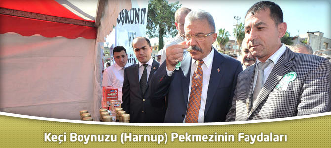 Keçiboynuzu (Harnup) Pekmezinin Faydaları