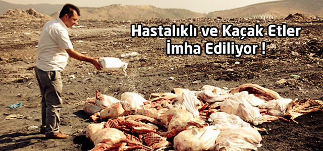 Hastalıklı ve Kaçak Etler İmha Ediliyor !