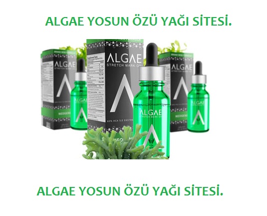 Hamilelik sonrasında algae yosun özü yağı