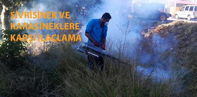 Büyükşehir’den Termal Sisleme İle İlaçlama