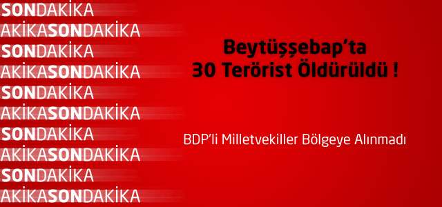 Beytüşşebap'ta 30 Terörist Öldürüldü