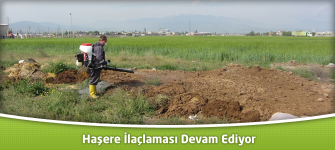 Haşere İlaçlaması Devam Ediyor