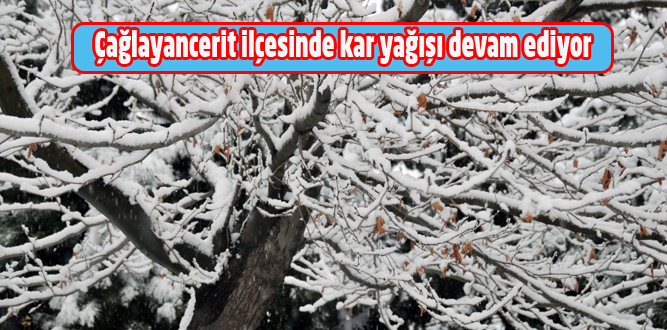 Çağlayancerit İlçesinde Eğitime Kar Engeli