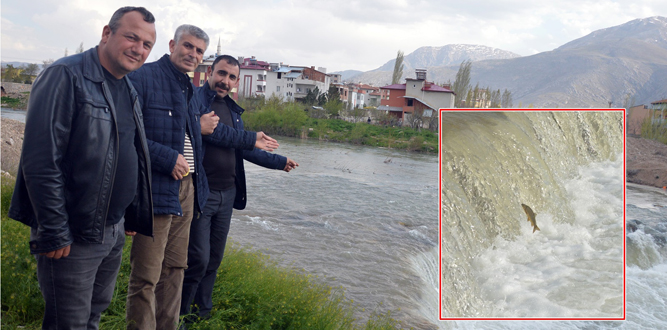 10 Binlerce Balığın Doğum Sancısı!..