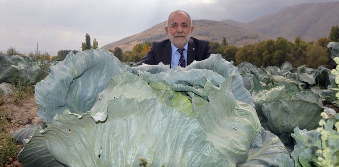 Elbistan Lahanasını Türkiye Tanıyacak