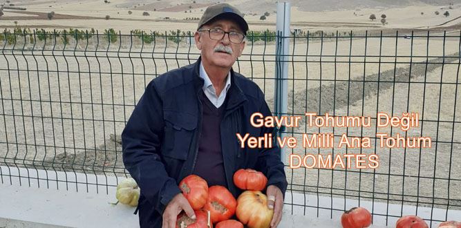 Hem Yerli Hem Milli DOMATES