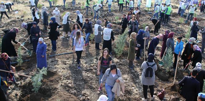 Kahramanmaraşlı 'Bugün Fidan, Yarın Nefes' Dedi