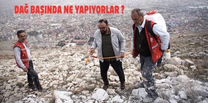 Dağ Başında Ne Yapıyorlar?