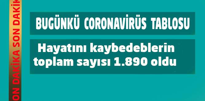 Türkiye'de Günlük Koronavirüs Tablosu