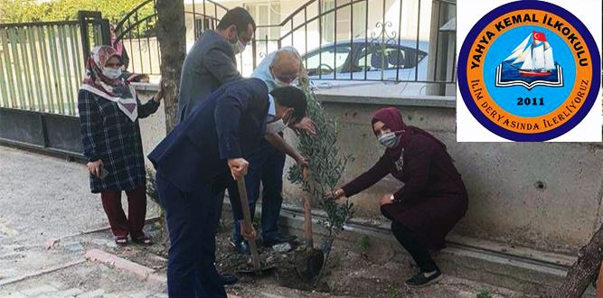 Bakan Selçuk'un çağrısı Yahya Kemal’de yeşillendi