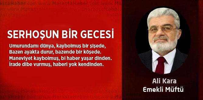 SERHOŞUN BİR GECESİ