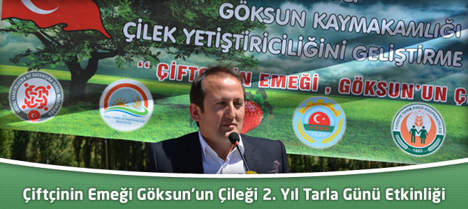 Çiftçinin Emeği Göksun'un Çileği 2. Yıl Tarla Günü Etkinliği