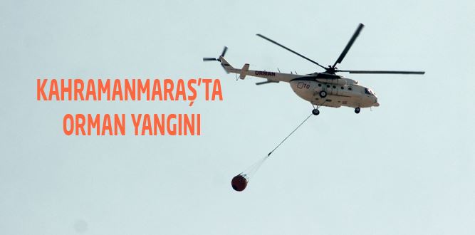 Orman Yangını