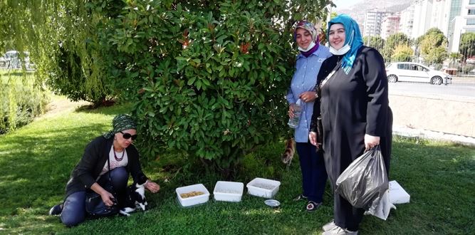 Deva Partisi Sokak Hayvanlarını Unutmadı