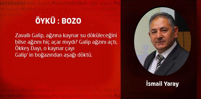 ÖYKÜ: BOZO