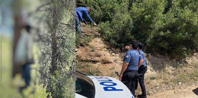 Ormanda ağaca asılı halde çürümüş erkek cesedi bulundu.