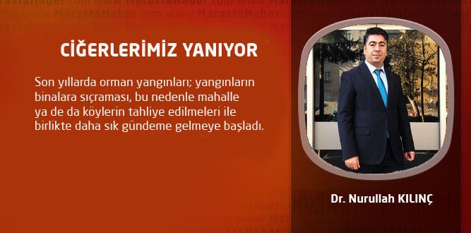 CİĞERLERİMİZ YANIYOR