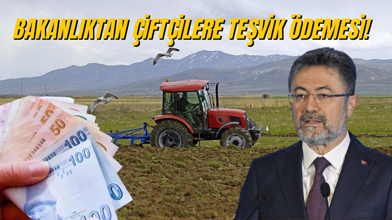 Çiftçilere Müjde! Tarım Bakanlığı Teşvik Ödemesi Yapıyor!