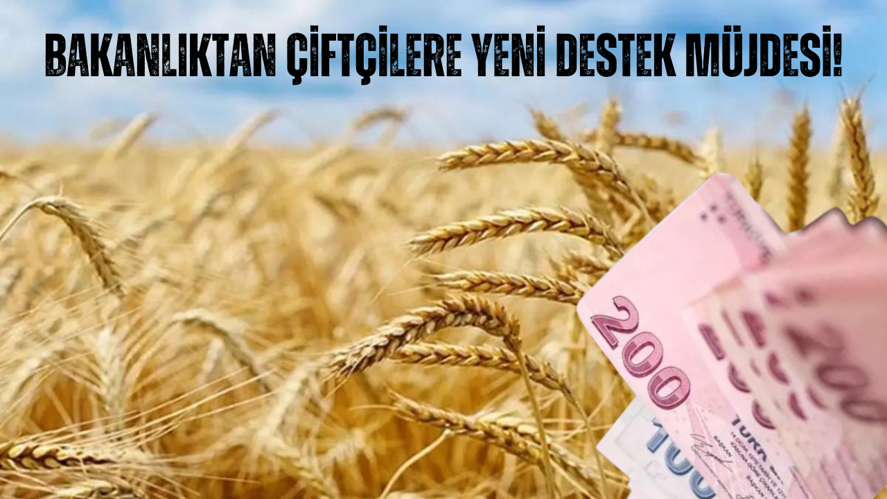 Tarım Bakanlığı’ndan Hububata Destek Zammı! Arpa ve Buğday İçin Yüzde 243, Dane Mısır İçin Yüzde 253 Zam!