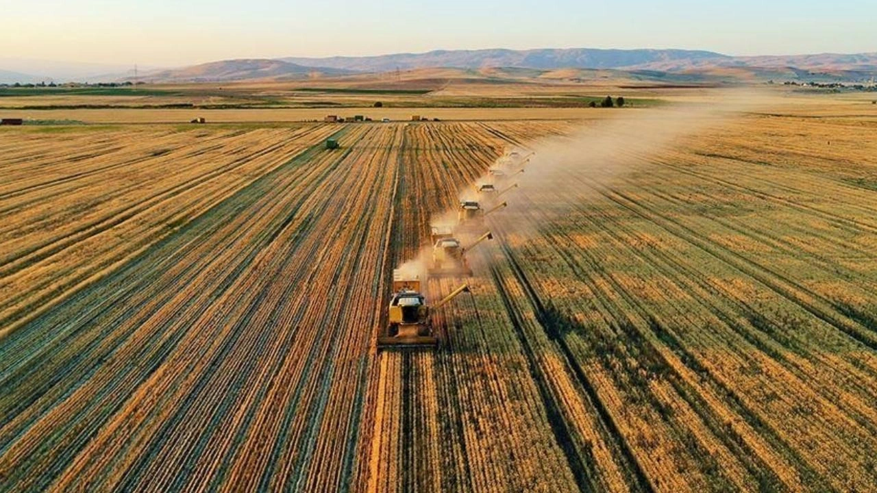 Tarım Bakanlığı’ndan Üreticilere Yeni Para Yardımı!