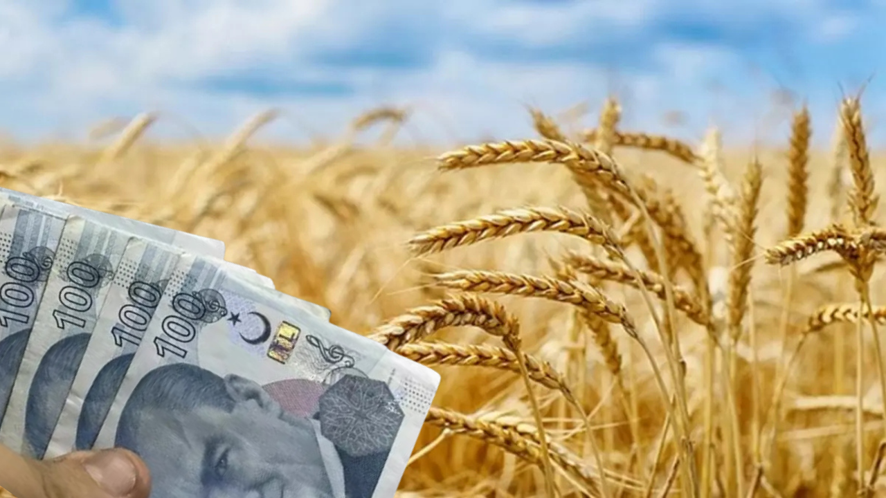 Buğday, Arpa ve Çavdar Ürünlerine Zam! İşte Zamlı Hububat Fiyatları!