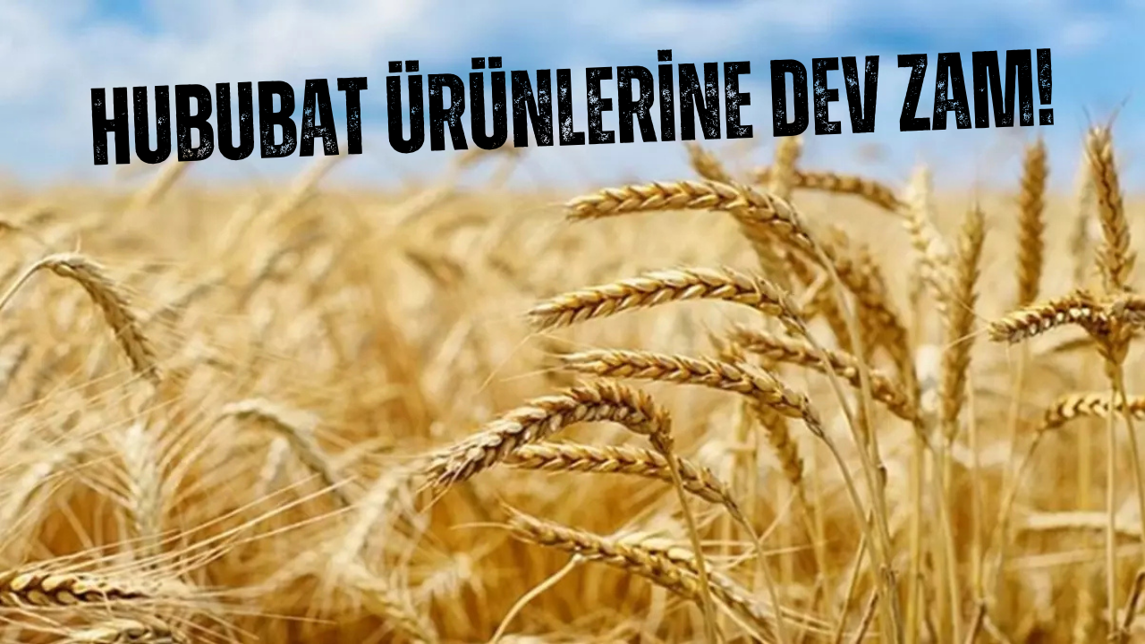 Hububat Ürünlerine Zam Geldi! 16 Ekim Güncel Hububat Fiyatları!