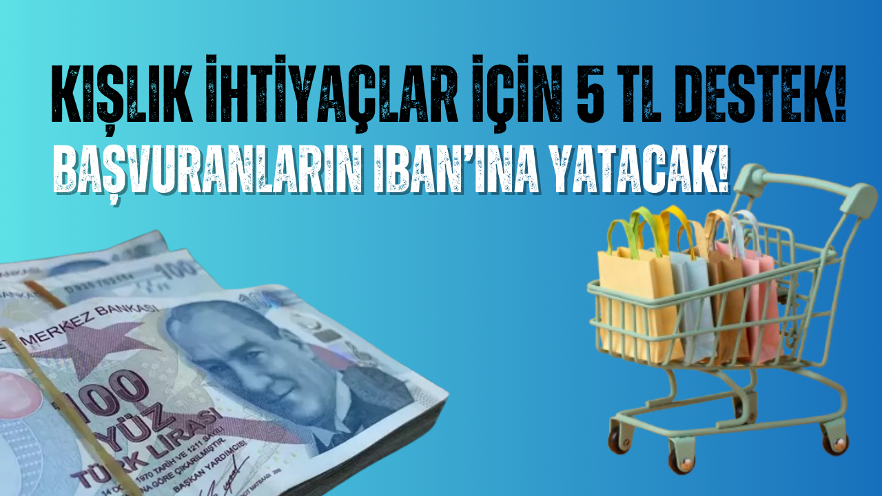 5 Bin TL Alışveriş Desteği Başladı! Başvuranların IBAN’ına Yatacak!