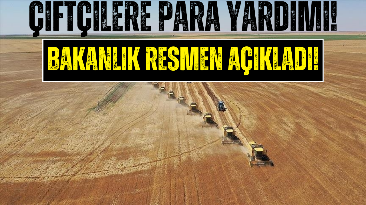 Tarım Bakanlığı’ndan Çiftçilere 213 Milyon TL Para Yardımı!