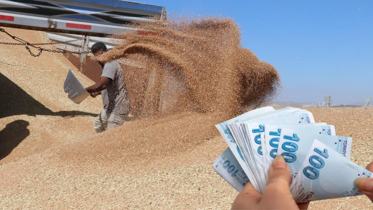 Buğday, Mısır, Nohut, Arpa ve Kuru Fasulyeye Zam! 18 Kasım Hububat Fiyatları!