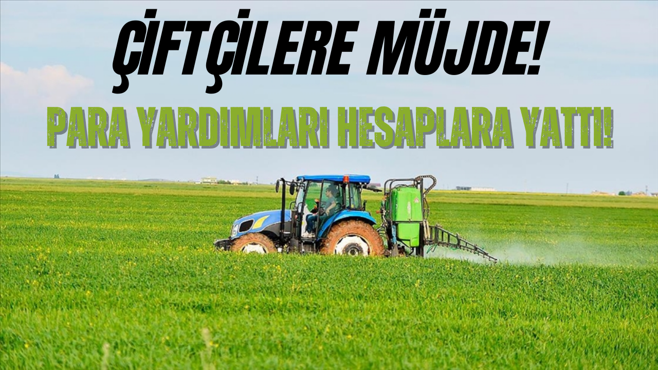 Tarım Bakanlığı Çiftçilerin IBAN’ına Yeni Para Yardımı Yatıracak!