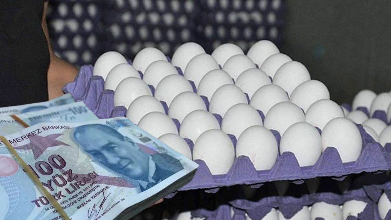 Yumurtaya Yüzde 100 Zam Geldi!