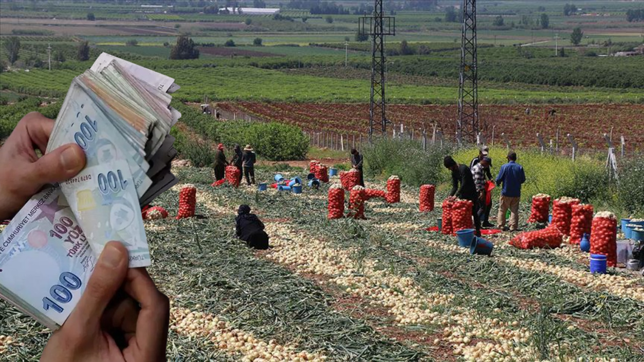 Tarım Bakanlığı’ndan Çiftçilere 509 Milyon 933 Bin TL’lik Yeni Para Yardımı!