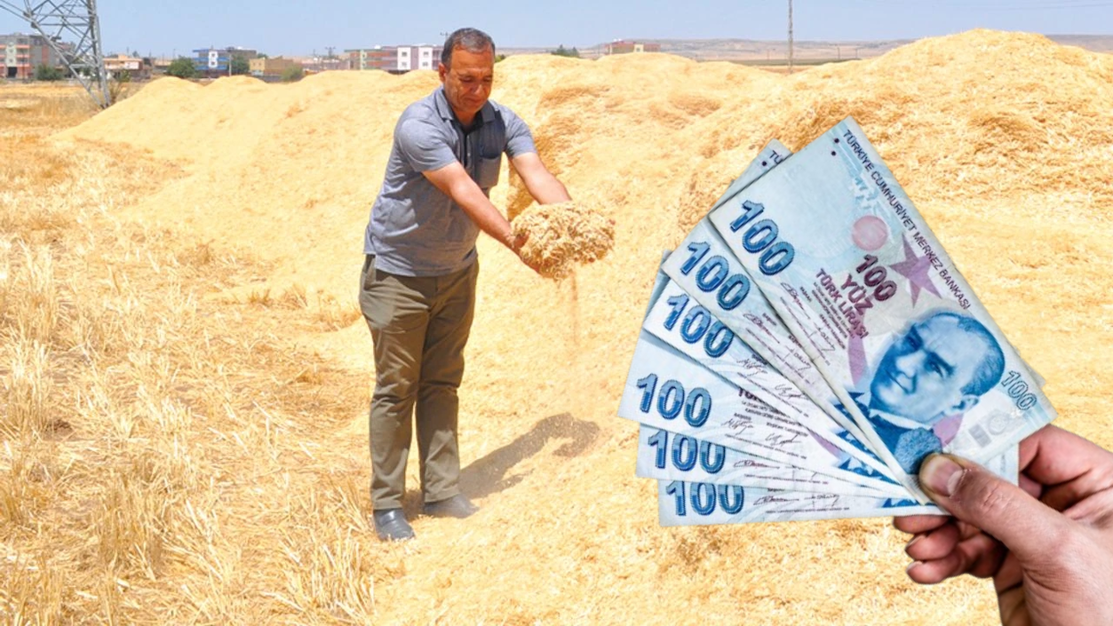Saman, Mısır Silajı ve Süt Yemi Fiyatlarına Zam!