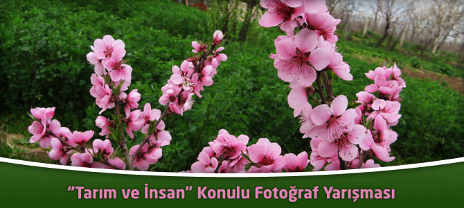 "Tarım ve İnsan" Konulu Fotoğraf Yarışması