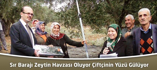 Sır Barajı Zeytin Havzası Oluyor Çiftçinin Yüzü Gülüyor