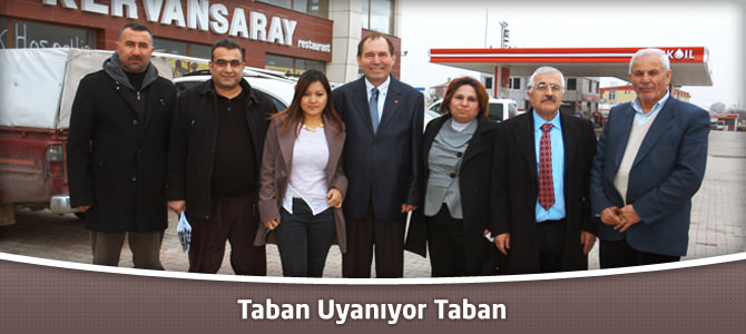 Taban Uyanıyor Taban