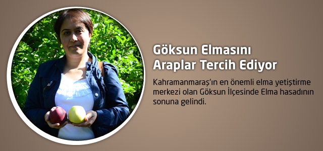 Göksun Elmasını Araplar Tercih Ediyor