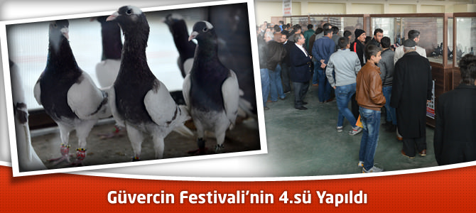 Güvercin Festivali'nin 4.sü Yapıldı