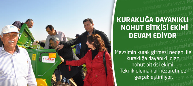 Kuraklığa Dayanıklı Nohut Bitkisi Ekimi Yapılıyor