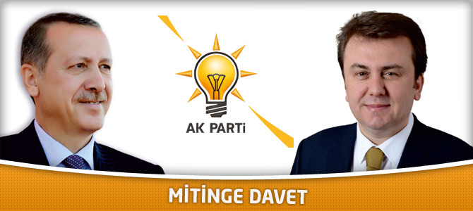 Mitinge Davet