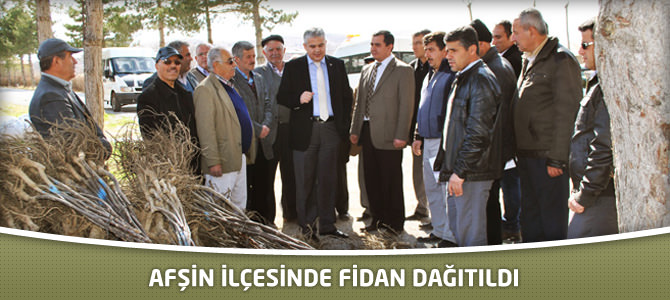 Afşin İlçesinde Fidan Dağıtıldı