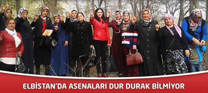 Elbistan Asenaları Dur Durak Bilmiyor