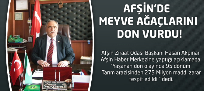 Afşin’de meyve ağaçlarını don vurdu!