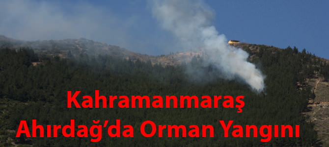 Kahramanmaraş'ta Orman Yangını