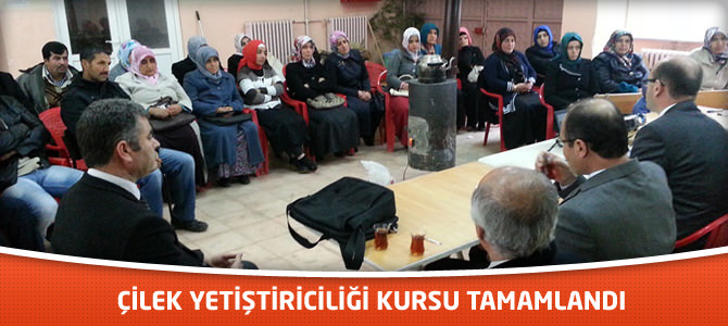 Çilek Yetiştiriciliği Kursu Tamamlandı