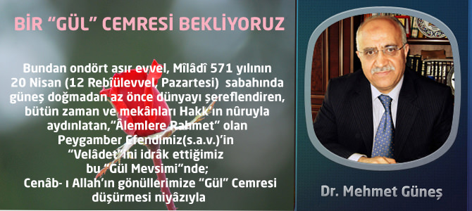 Bir “Gül” Cemresi Bekliyoruz