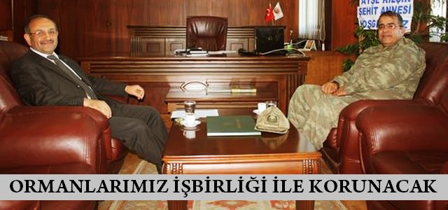 Ormanlarımızı Korumada İşbirliği